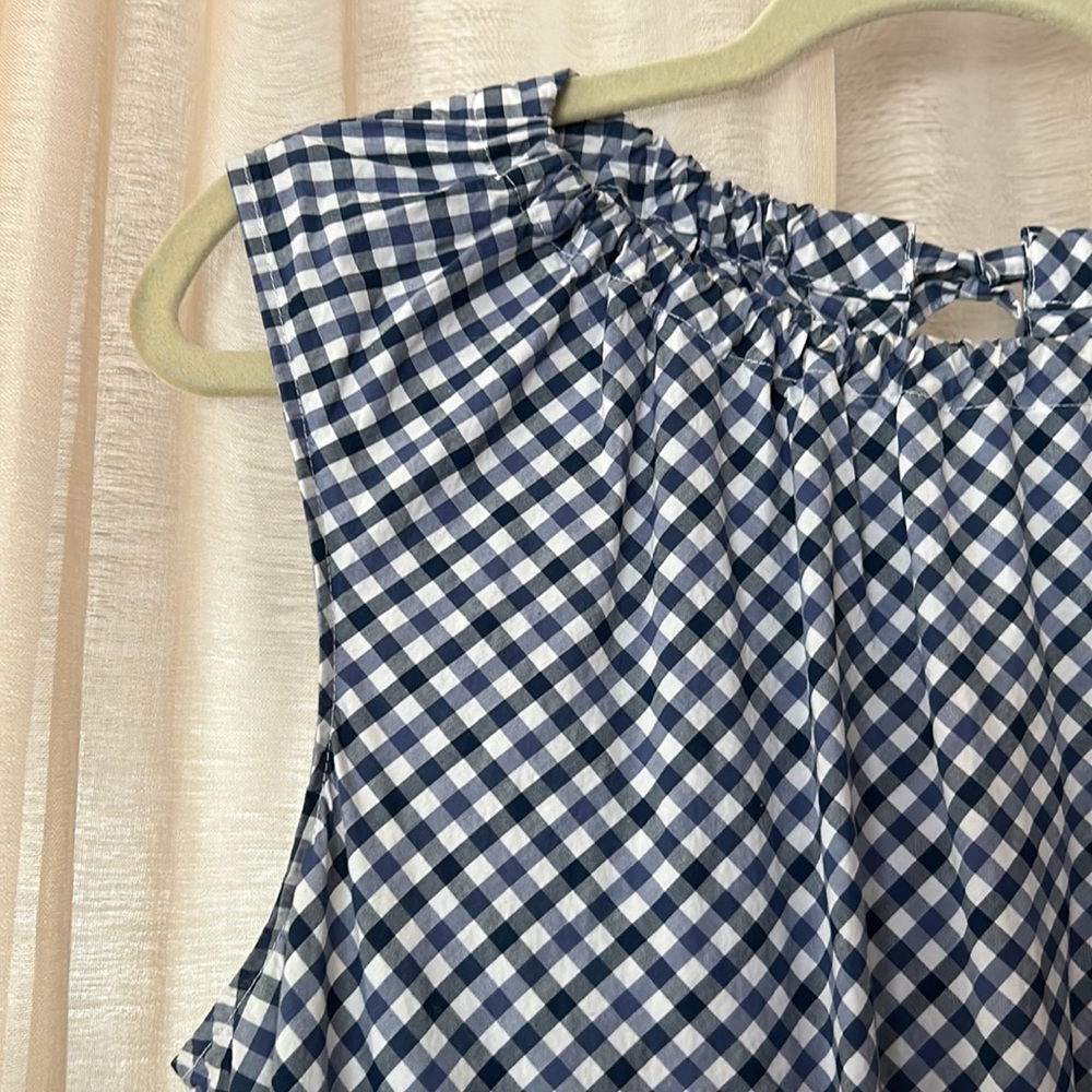 Blue gingham dress, xl